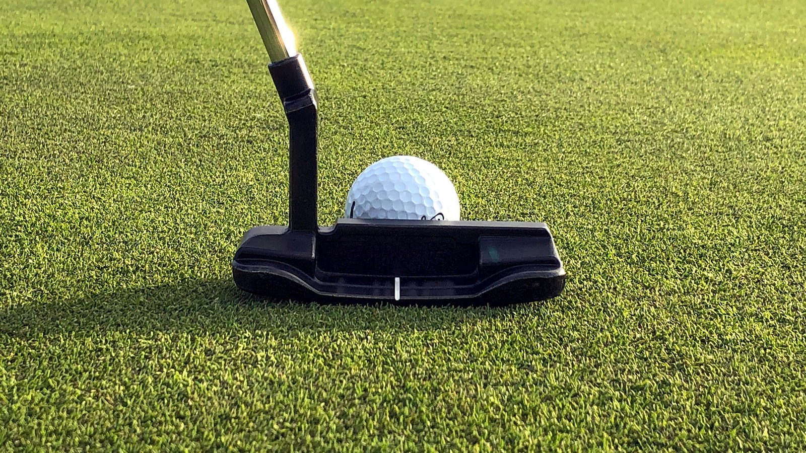 OUTRAGE: Golfer DISQUALIFIED after his putter grips were not far enough apart